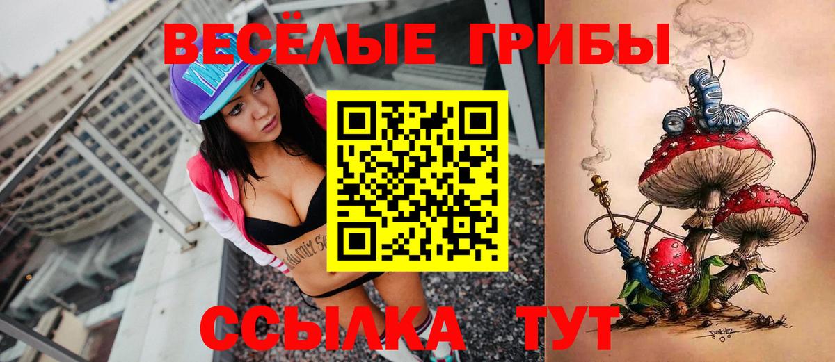 Псилоцибиновые грибы MAGIC MUSHROOMS Гулькевичи