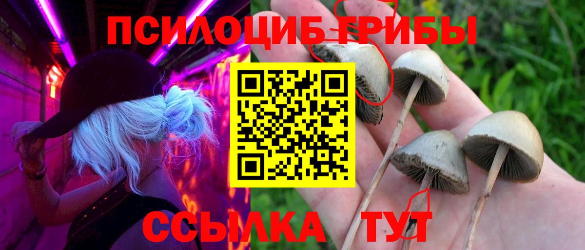 Галлюциногенные грибы Psilocybine cubensis  Вход с VPN  Гулькевичи 